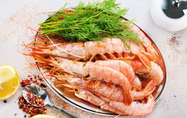 Unique Categories of Seafood You Need to Try at Least Once Before You Die