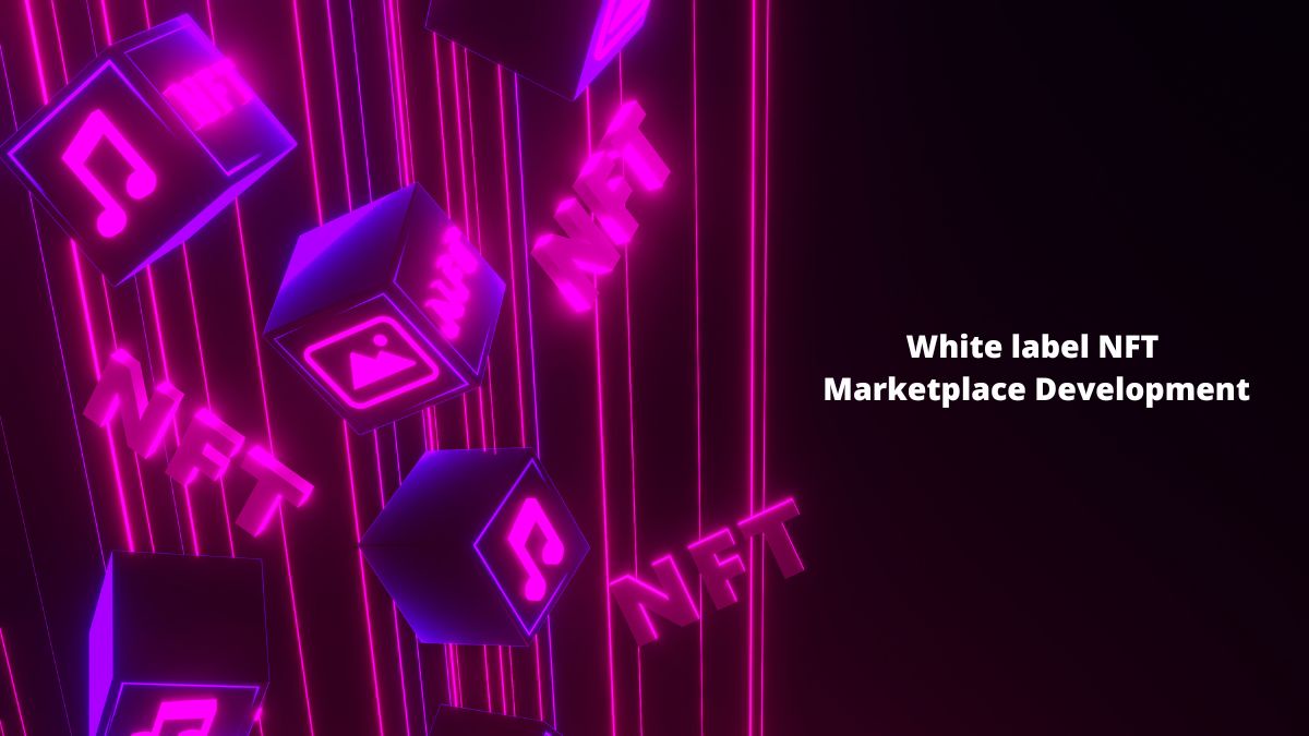 Now You Can Have the White-label NFT Marketplace of Your Dreams