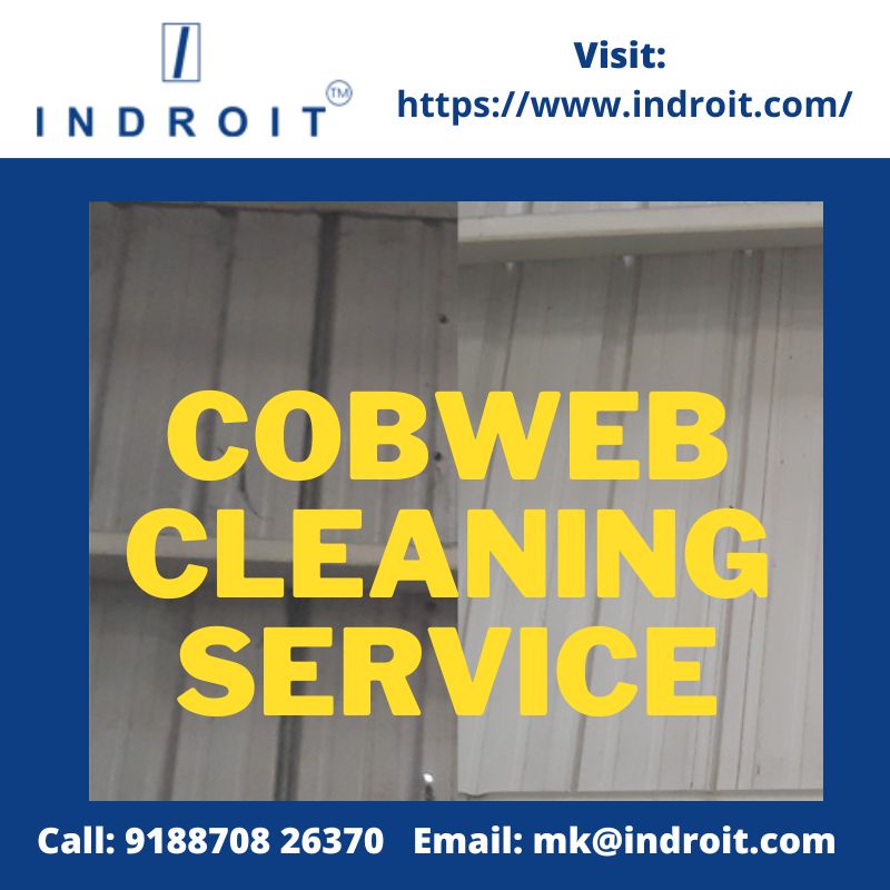 Need assistance removing cobwebs? Indroit provides specialized services for removing cobwebs.