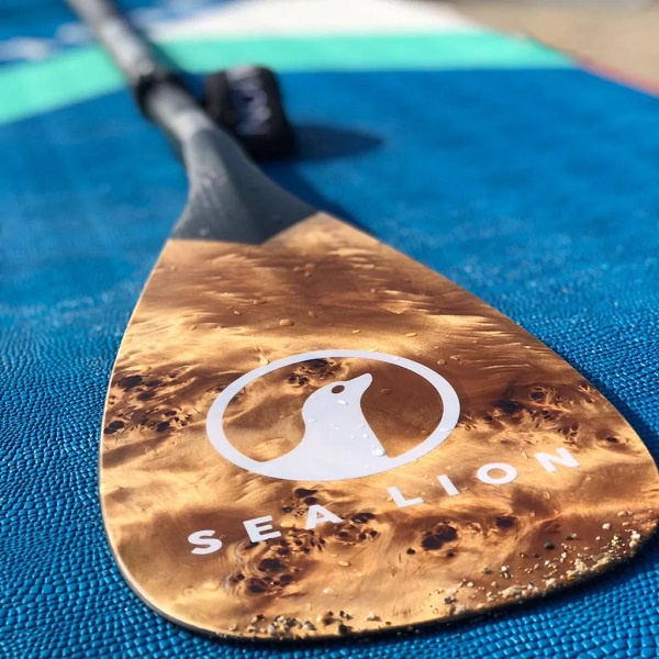 Here's Why You Should Buy A Carbon Sup Paddle For Your Paddleboarding Trips