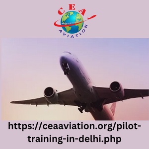 What is the Fees of Flying School in Delhi?