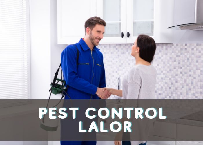 Why Hiring A Professional Pest Control Lalor Services Is The Best Option?