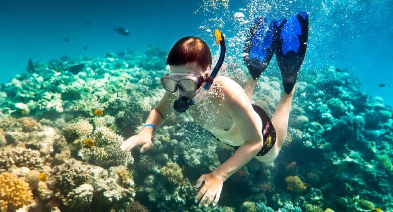 Scuba Diving in Grand Island, Goa: Everything You Need to Know