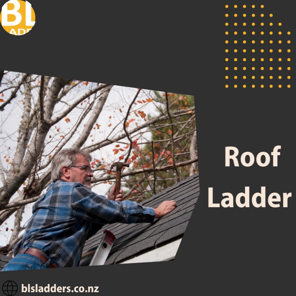 Roof Ladder NZ