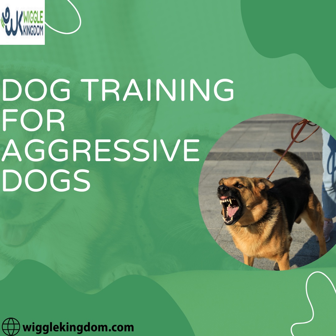 dog training for aggressive dogs