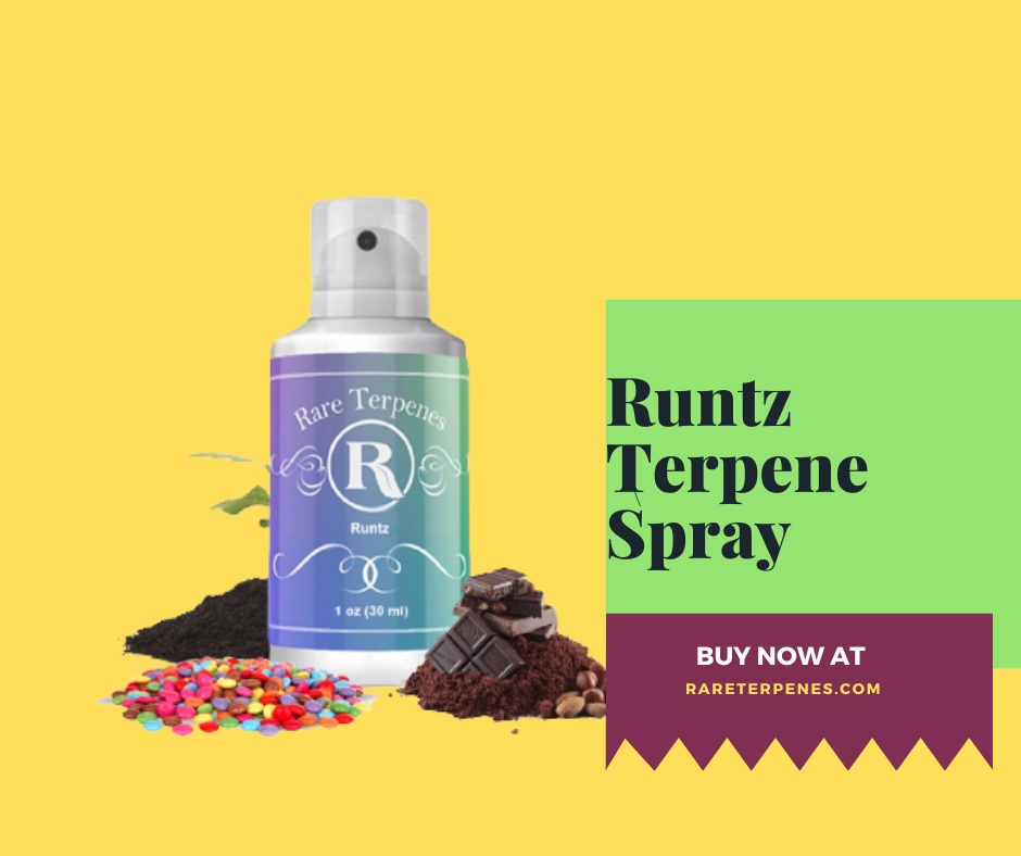 All You Wanted To Know About Runtz Terpenes
