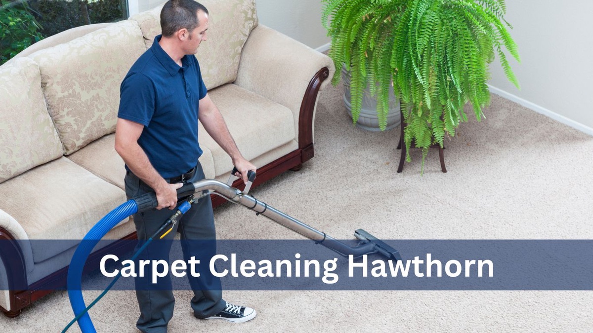 The Ultimate Carpet Cleaning Guide: Professional Services & DIY Tips To Keep Your Floors Spotless