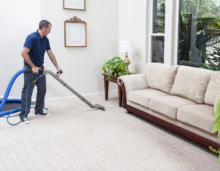 5 Things To Know About Sanitizing And Disinfecting Carpet