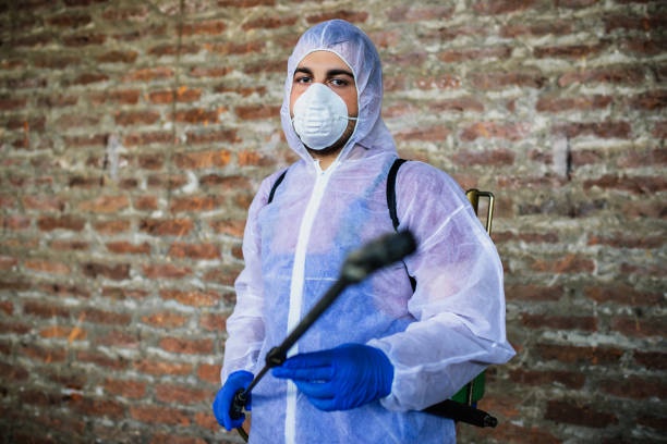 Pest Control Tips for Your Home