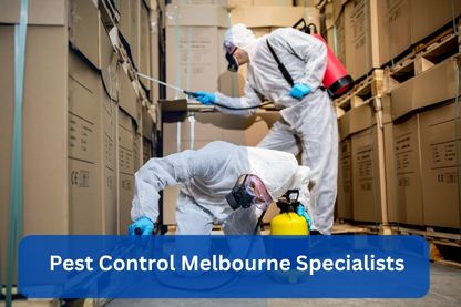 9 Good Reasons To Hire A Pest Control Melbourne Company!