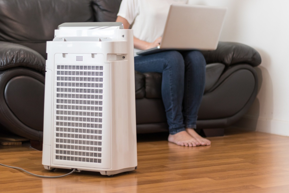 Declare War on Mold with an Air Purifier: Enjoy the Benefits