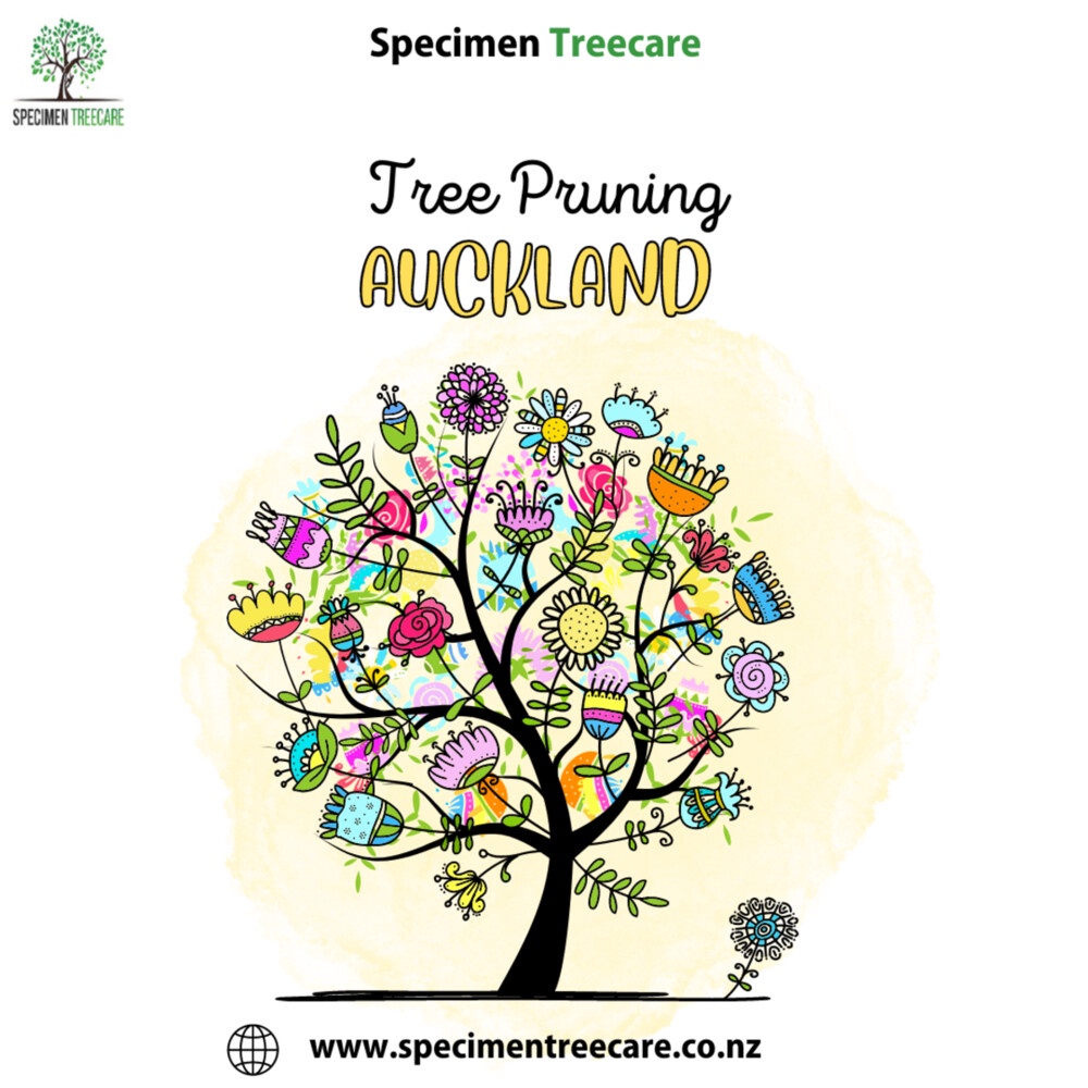 Tree Pruning Auckland
