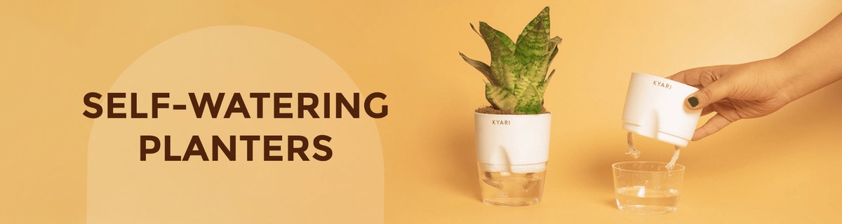 Self-Watering Pots: The Ultimate Solution for Busy Gardeners