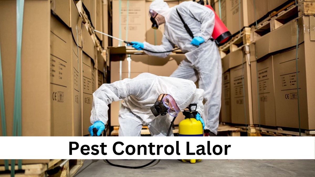 5 Common Pests Found in Melbourne and How to Control Them!