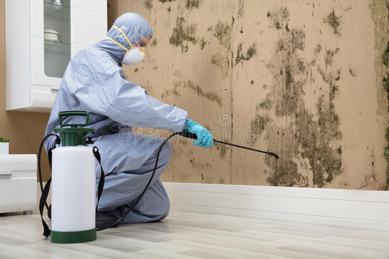 Why Pest Control is Crucial for a Healthy Home Environmen