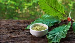 Understanding the different types of horned kratom and their effects