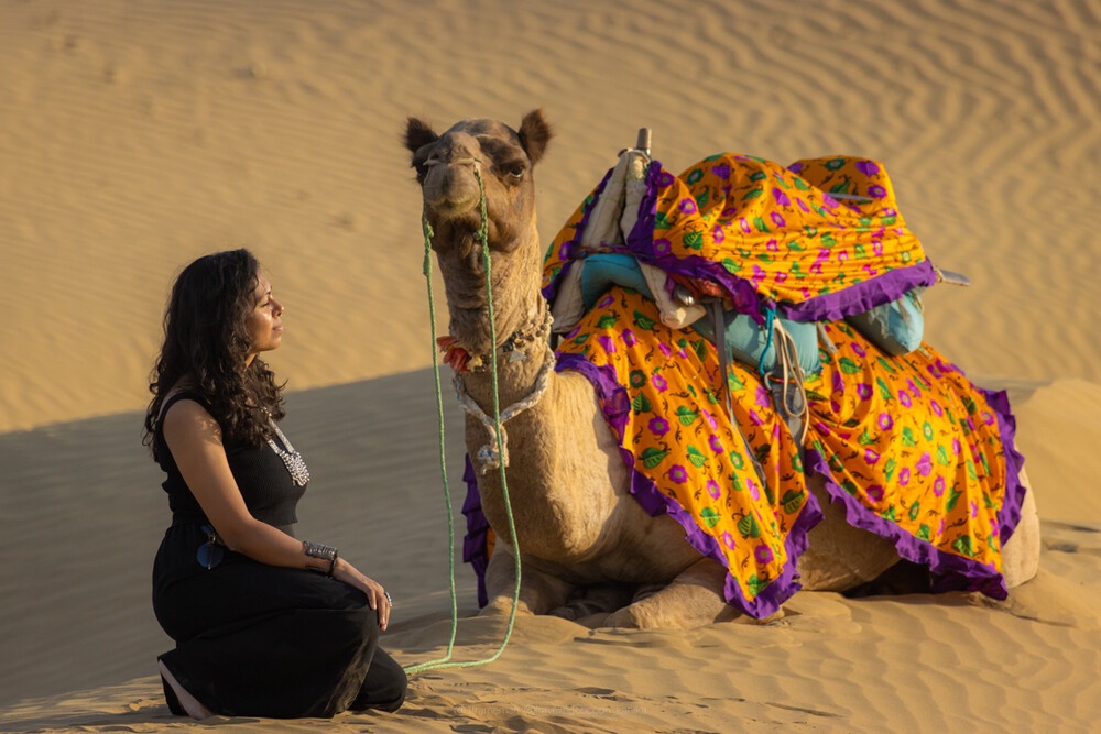 Luxury Desert Camping in the Traditional Manner