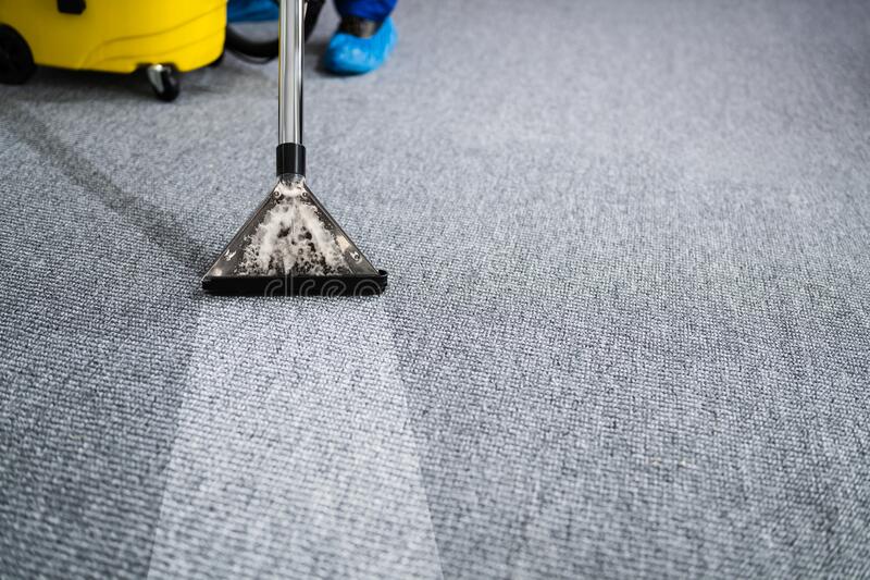 Top 5 Benefits of Professional Carpet Cleaning in Sydney Homes!