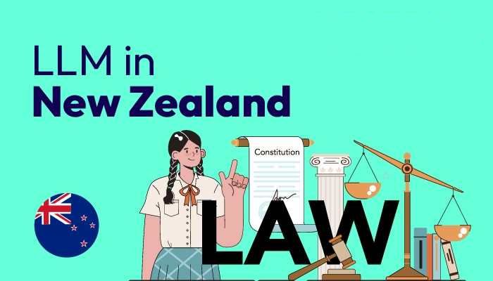 LLM in New Zealand: Things You Require to Know