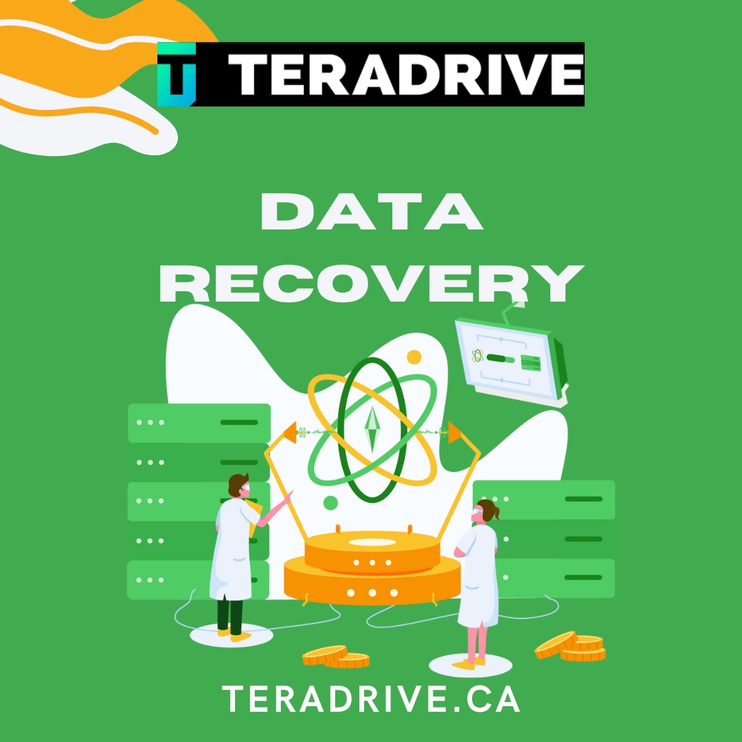 Cost-Effective Solutions for Professional RAID Data Recovery