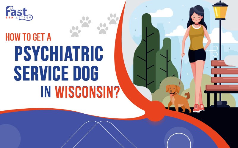 How to Get a Psychiatric Service Dog in Wisconsin?