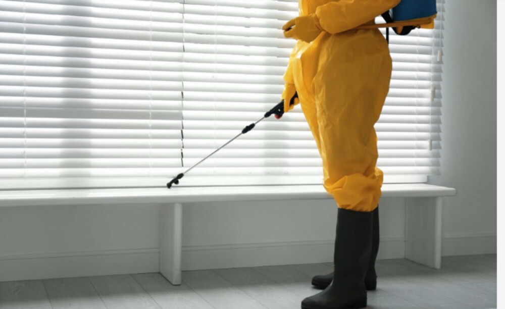 Fall Pest Prevention: Tips for Keeping Unwanted Critters Out of Your Home