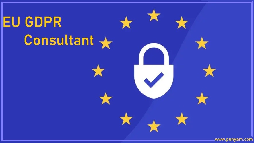 EU GDPR Consultant: Everything You Should Know Before Becoming a Consultant