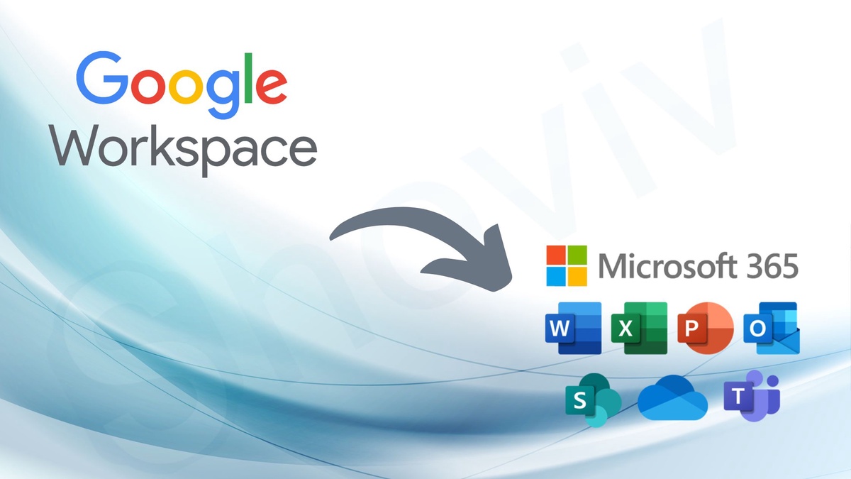 G Suite Migration to Office 365 Software