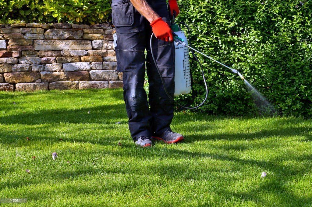 Pest control tips for specific pests