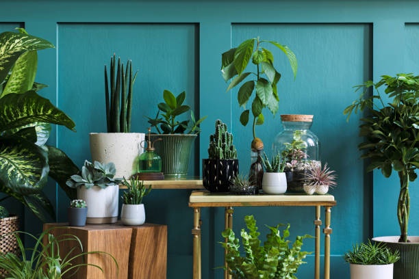 Going Green: Eco-Friendly Options for Your Flower Pot Collection