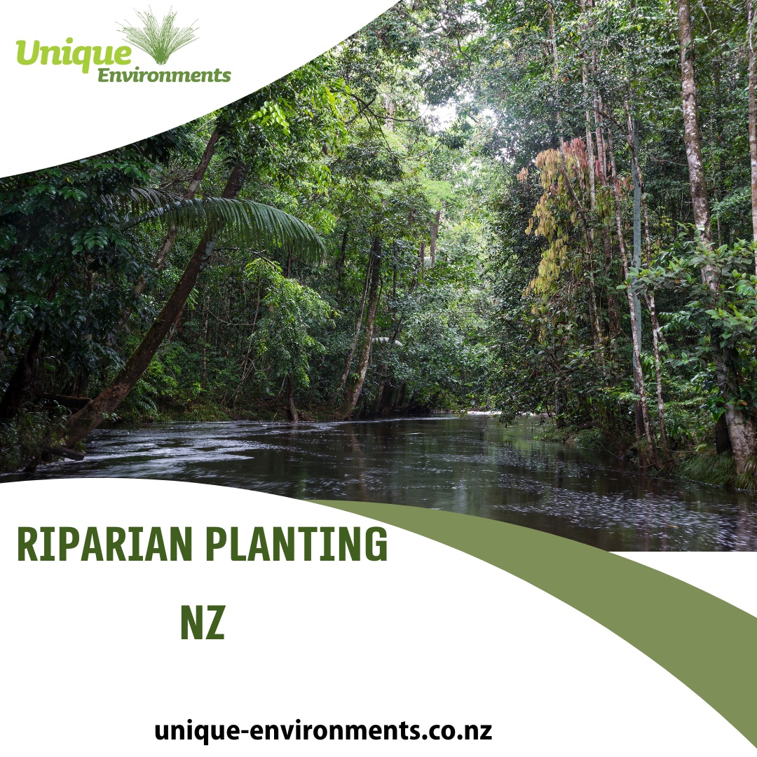 Riparian Planting NZ