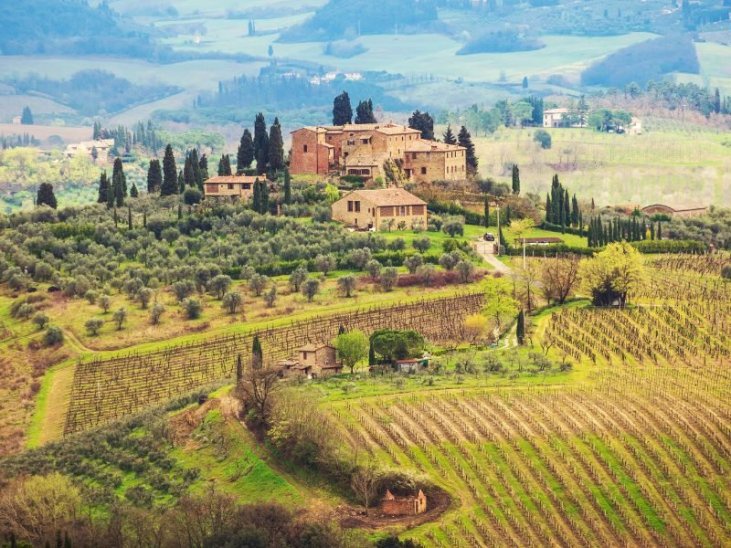 From Vine to Glass: A Journey through the World's Most Scenic Wine Tours
