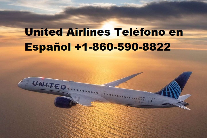 ¿Qué hace un representante de servicio al cliente en United Airlines?