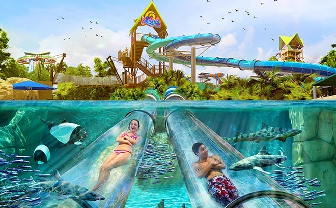 "Cool Off and Have Fun: Exploring the Best Water Park in Fresno"