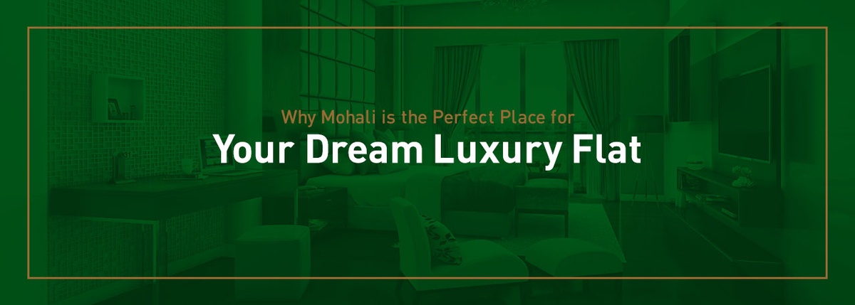 Why Mohali is the Perfect Place for Your Dream Luxury Flat
