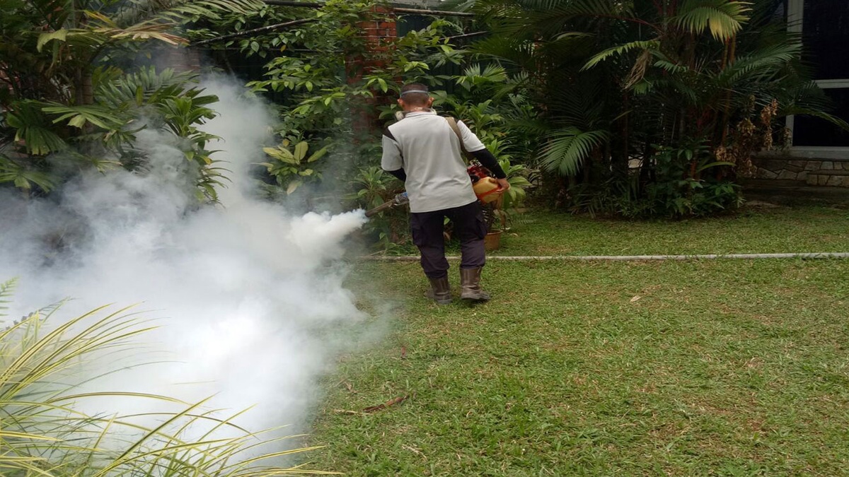 The Best Mosquito Prevention Methods for Your Singapore Home