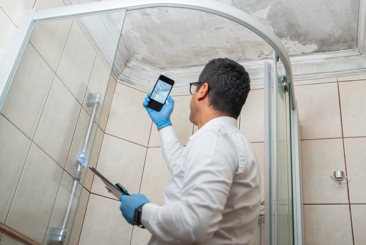 Reasons To Hire a Mold Inspector