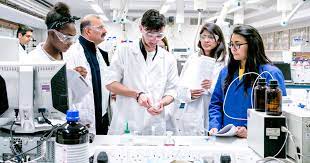 summer research programs in biomedical engineering