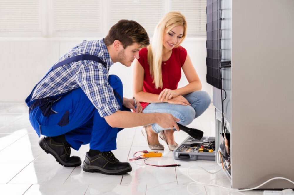 Safely Eliminating Pests: Precautions to Take Before Starting a DIY Project