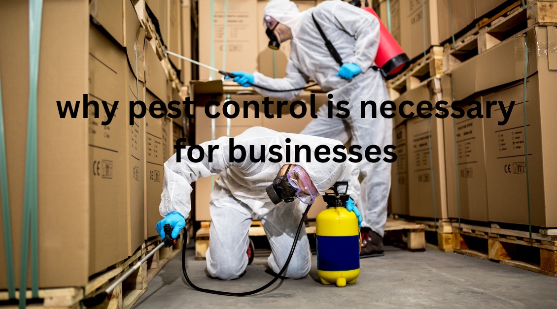 Top Reasons Why Pest Control is Vital for Businesses: Discover Them Now!