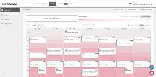 Meticool Review: Uncover the Power of Data-Driven Marketing Analytics