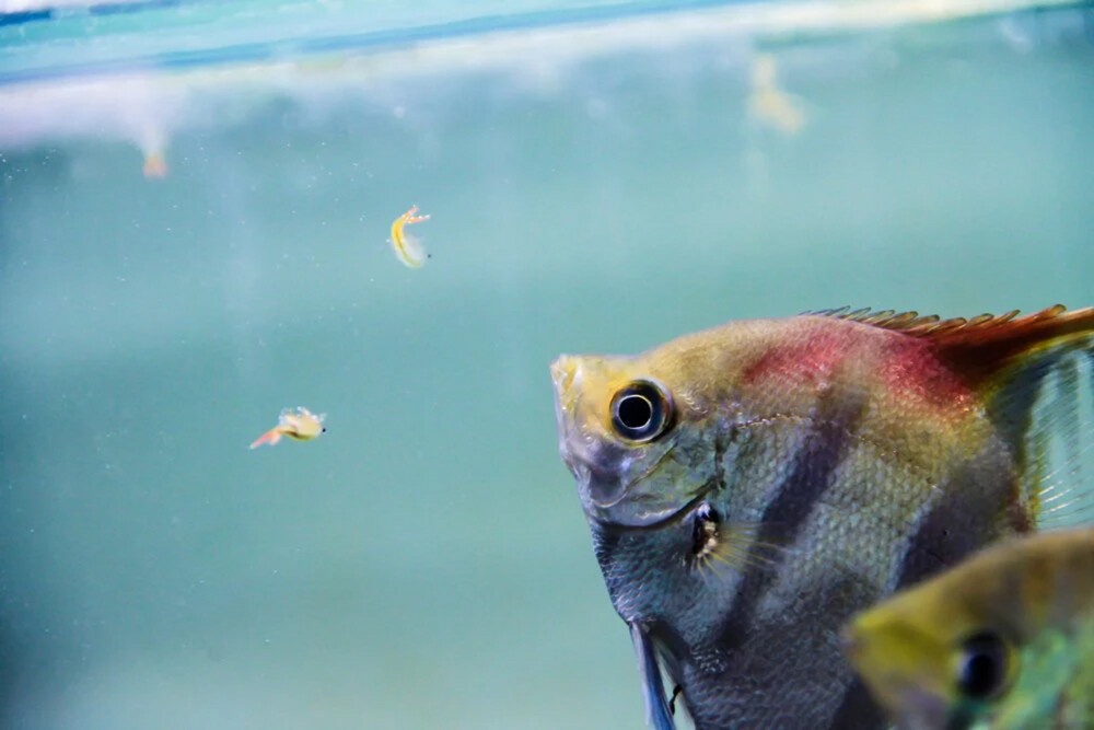 marine aquarium setup chennai