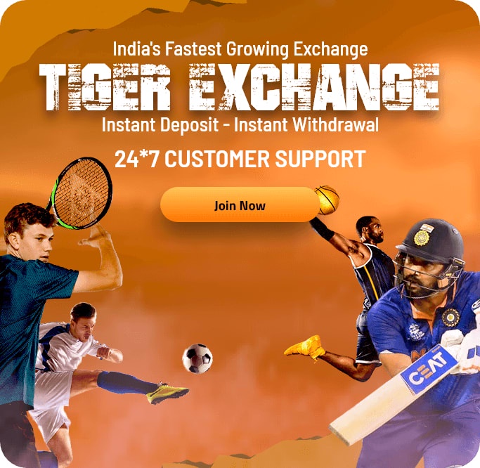 Tiger Exchange 247 Everything You Need to Know About Registration and Login.