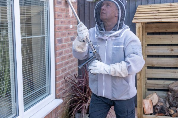Eliminating Wasps in Wetherby: Essential Tips and Techniques