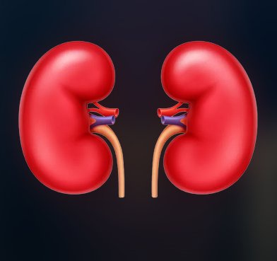 When One Need Kidney Transplant