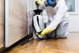 Get Your Bond Back with These Trusted End of Lease Pest Control Services in Melbourne
