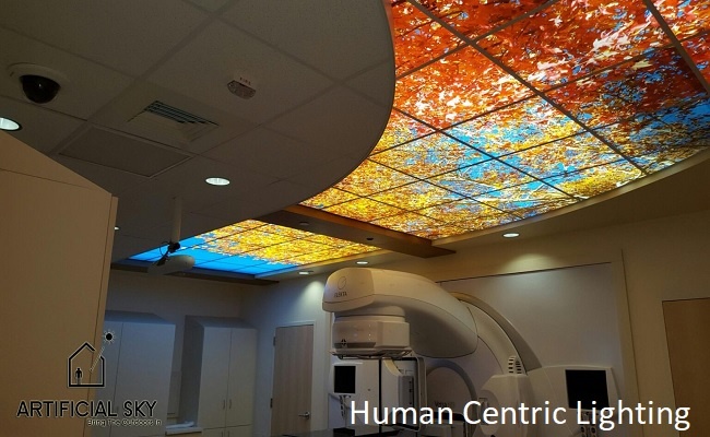 Human-centric Lighting: Transforming Your Work Environment for Enhanced Productivity and Comfort