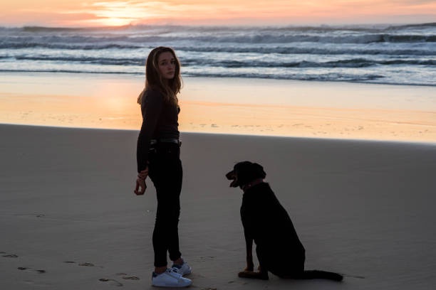 Understanding the Benefits of Dog Training in Huntington Beach