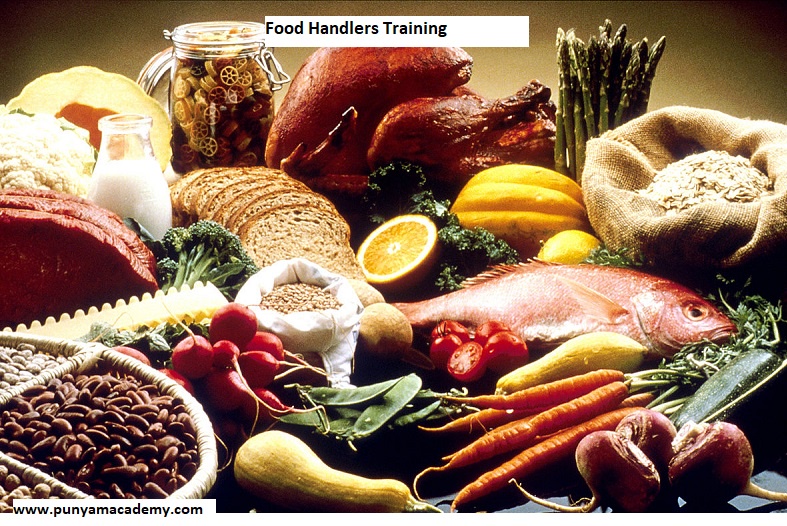 Importance of Food Handlers Training and Tips for Food Handlers at Workplace