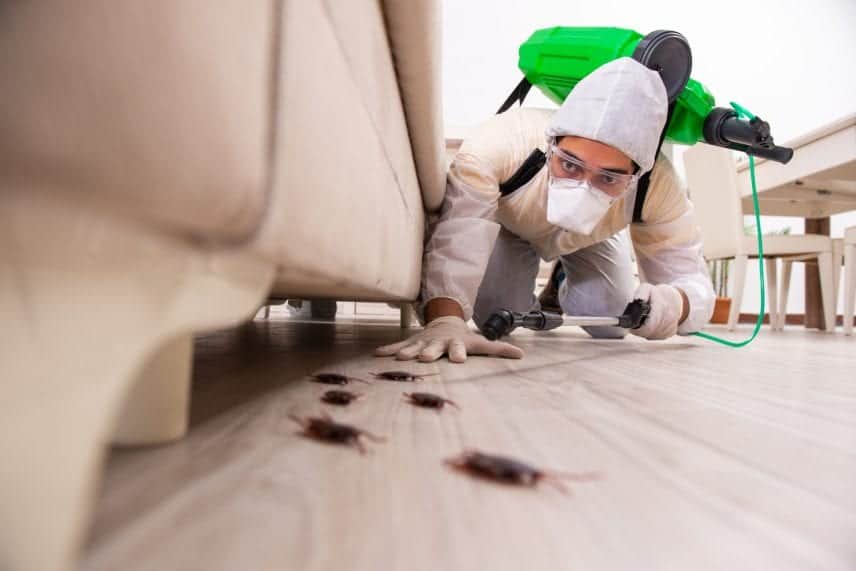 Commercial Cleaning in Tullamarine and Nearby Areas by Professionals Cleaners